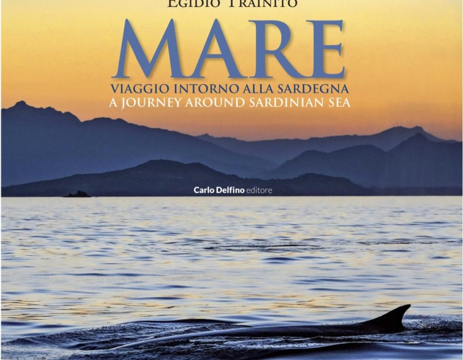 LocandinaGolfo Aranci_MARE_3luglioDEF