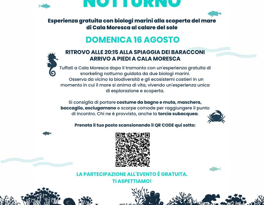 Locandina eventi singoli SEATY 2026 - 11